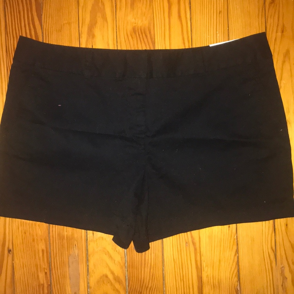 Loft Shorts NWT